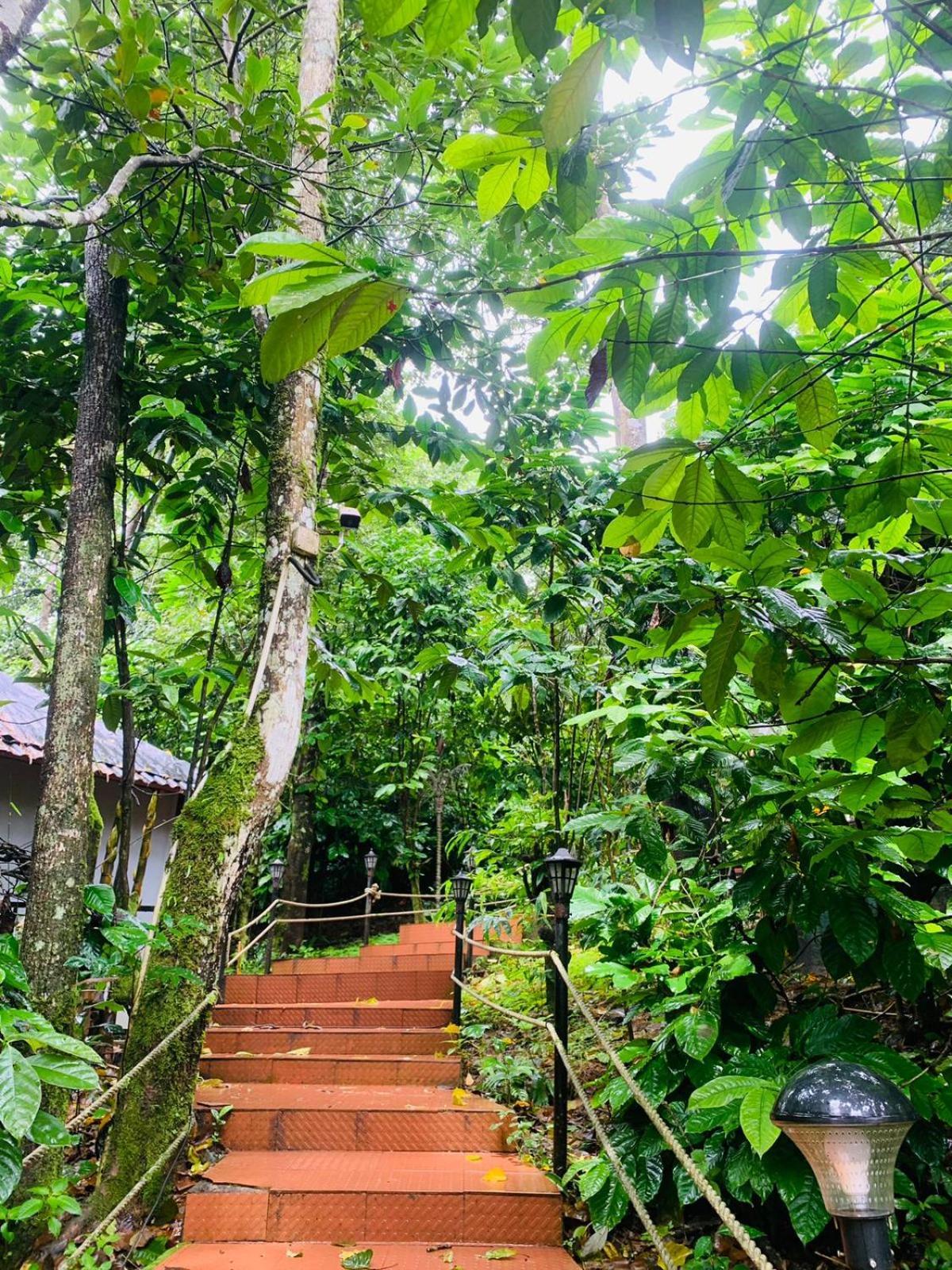 The Mountain Shades Resort Madikeri Extérieur photo