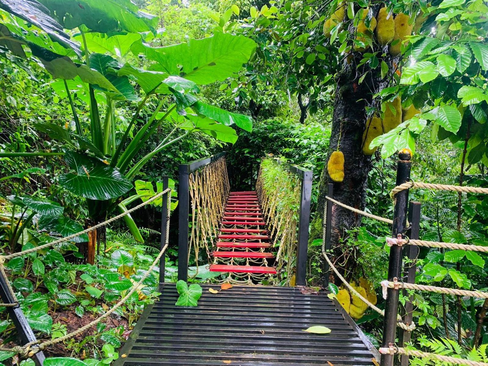 The Mountain Shades Resort Madikeri Extérieur photo