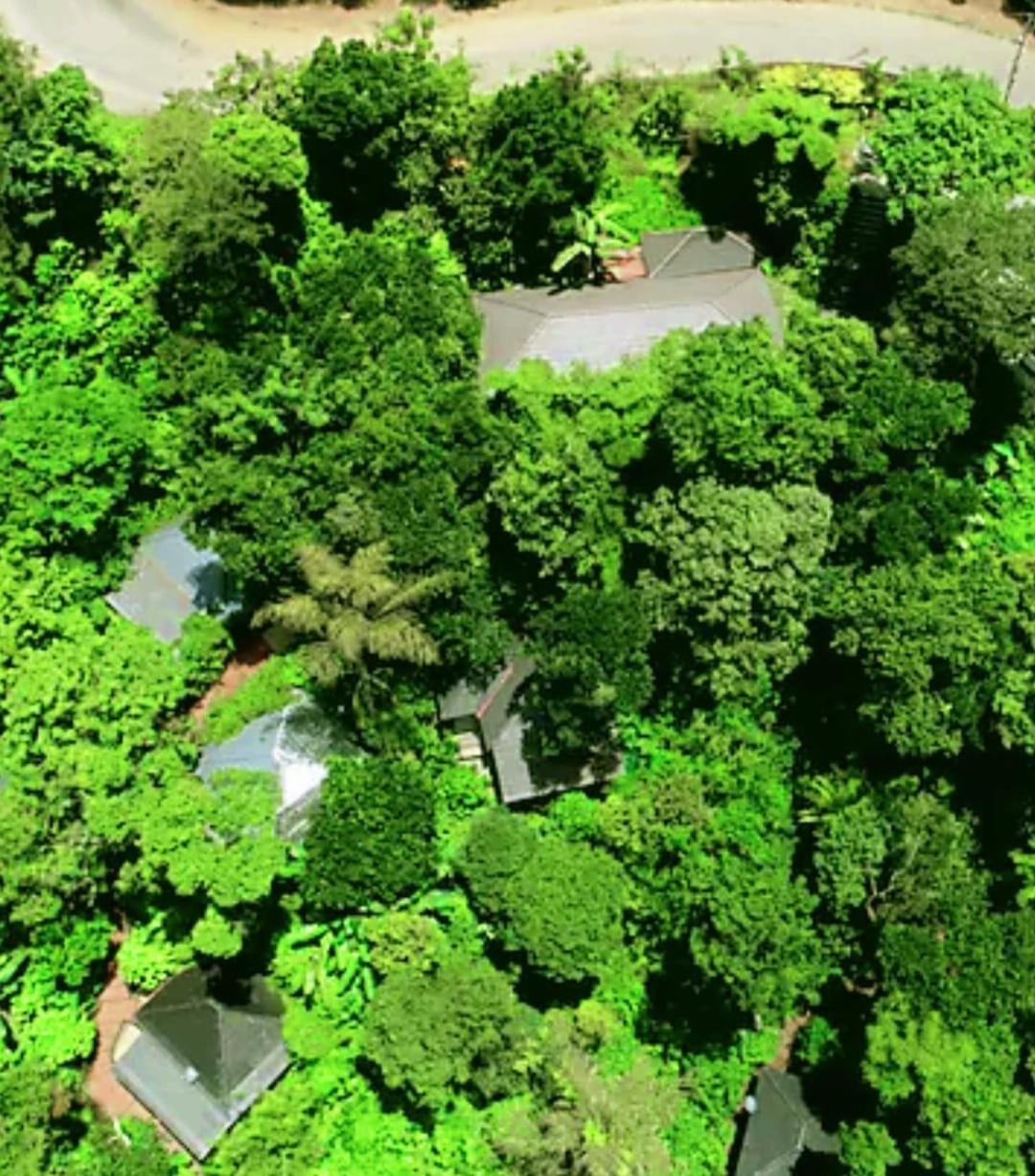 The Mountain Shades Resort Madikeri Extérieur photo