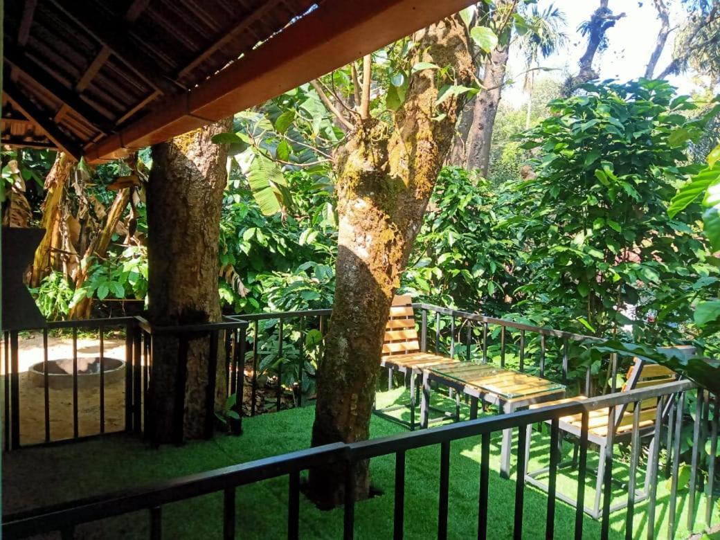 The Mountain Shades Resort Madikeri Extérieur photo